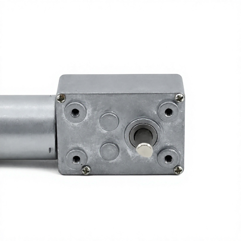 Worm calces motoris 3246WG370