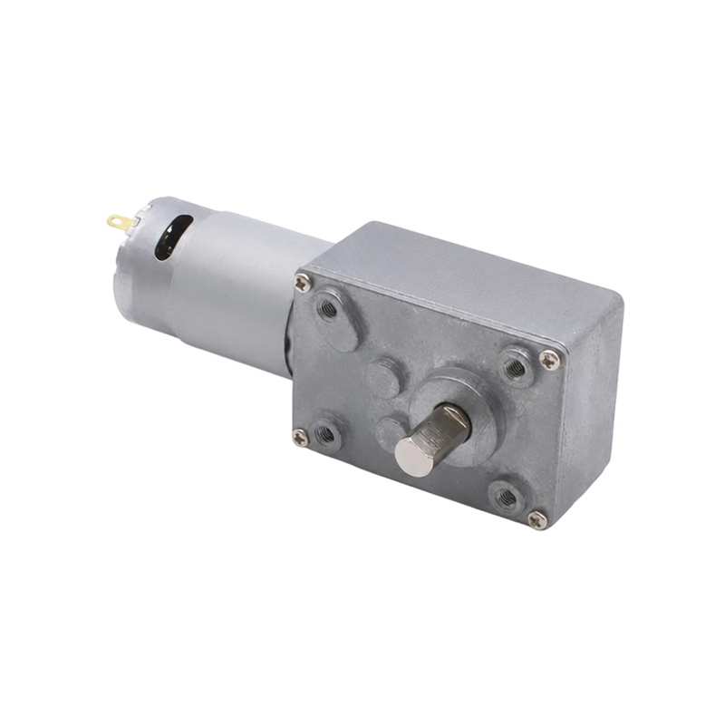 4058WG395 Worm Apparatus Motor