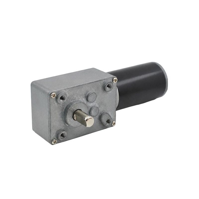 4058WG31S Worm Apparatus Motor
