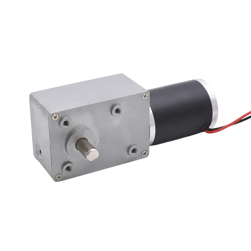5883WG45S Worm Apparatus Motor